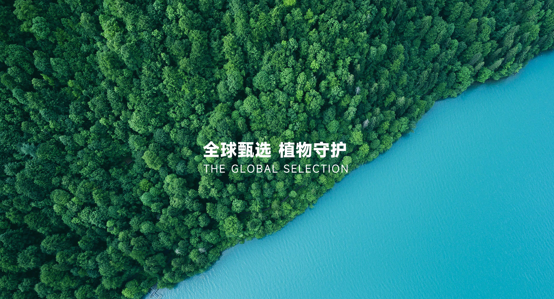 植护网